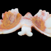 Afghan Jade hand-carved dual platter Butterfly 205*30*184mm 1030g in sunlight - Rocks and Things Store