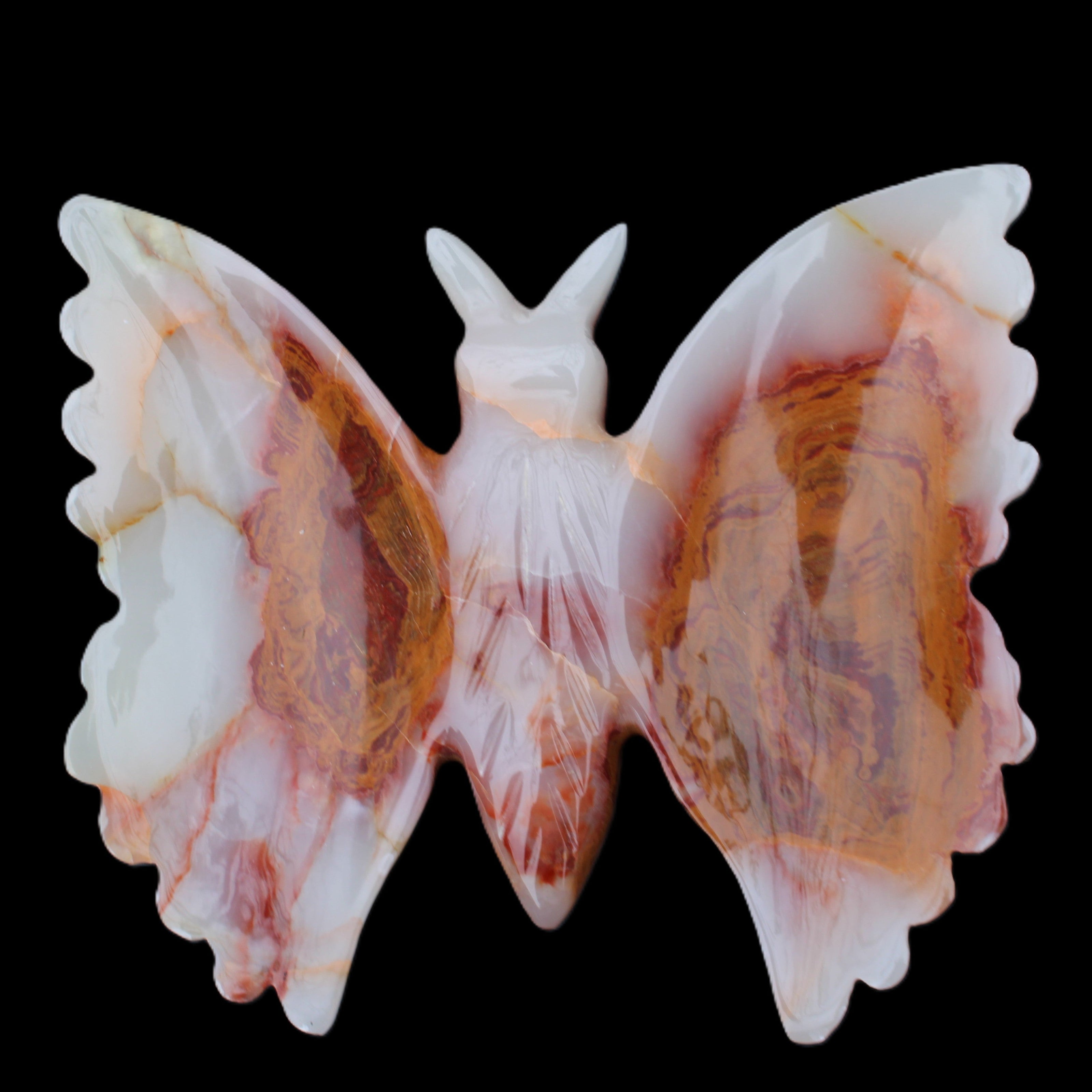 Afghan Jade hand-carved dual platter Butterfly 205*30*184mm 1030g in sunlight - Rocks and Things Store