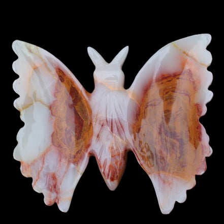 Afghan Jade hand-carved dual platter Butterfly 205*30*184mm 1030g in sunlight - Rocks and Things Store