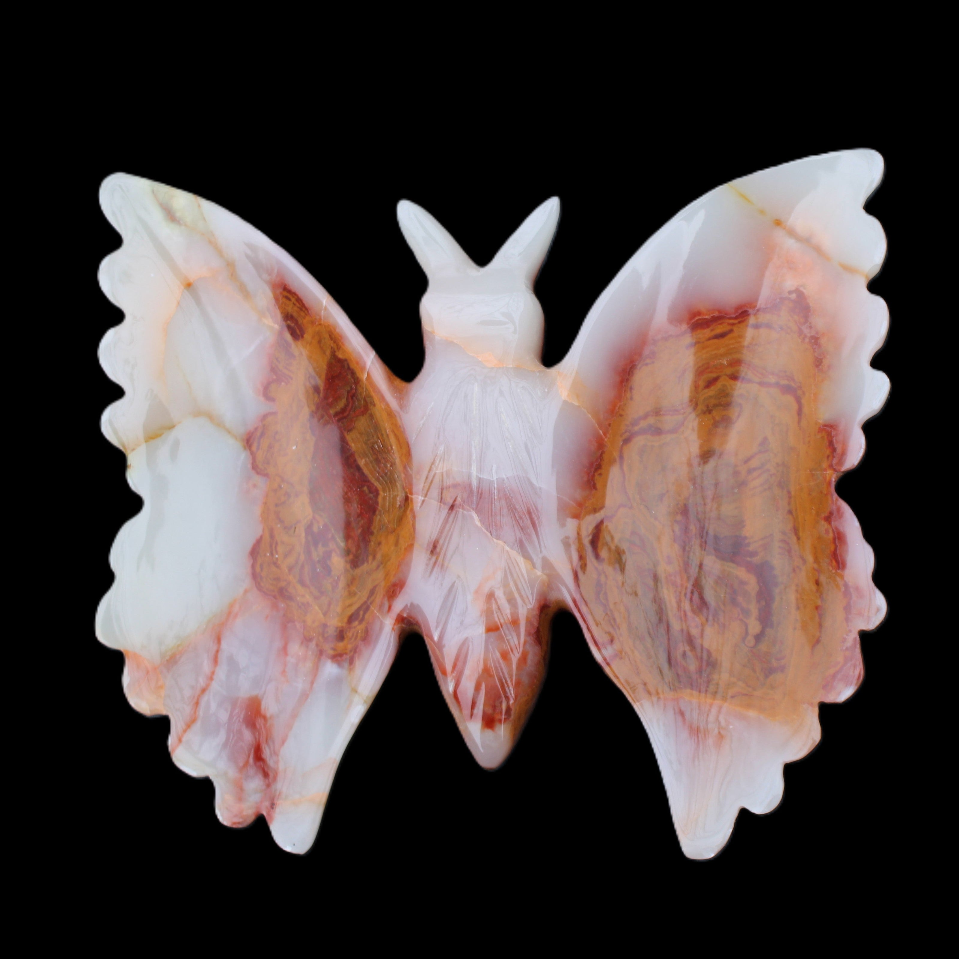 Afghan Jade hand-carved dual platter Butterfly 205*30*184mm 1030g in sunlight - Rocks and Things Store