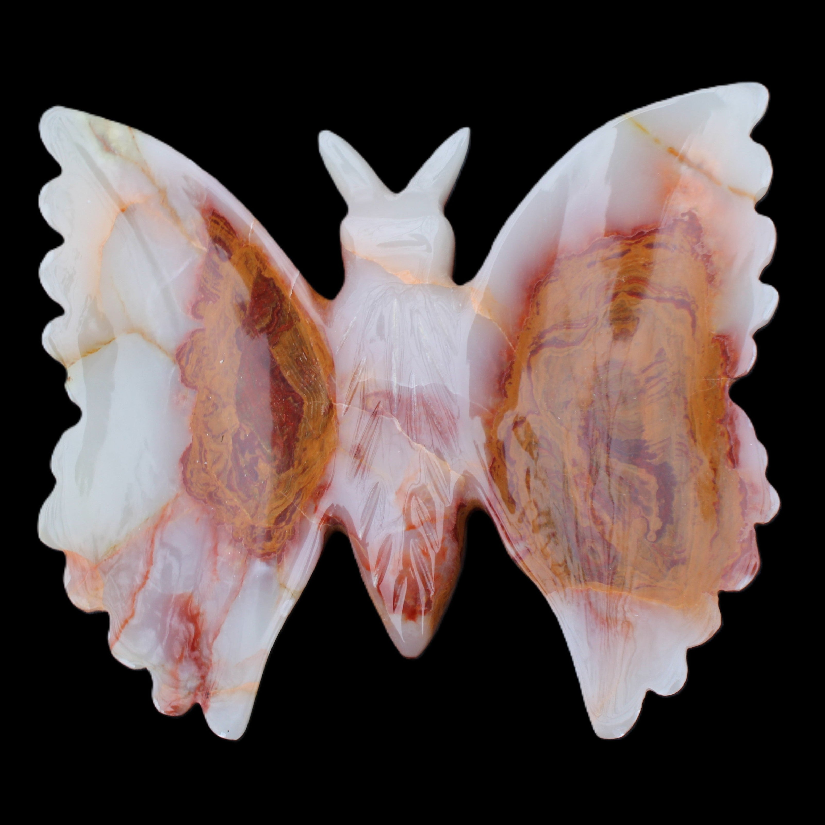 Afghan Jade hand-carved dual platter Butterfly 205*30*184mm 1030g in sunlight - Rocks and Things Store