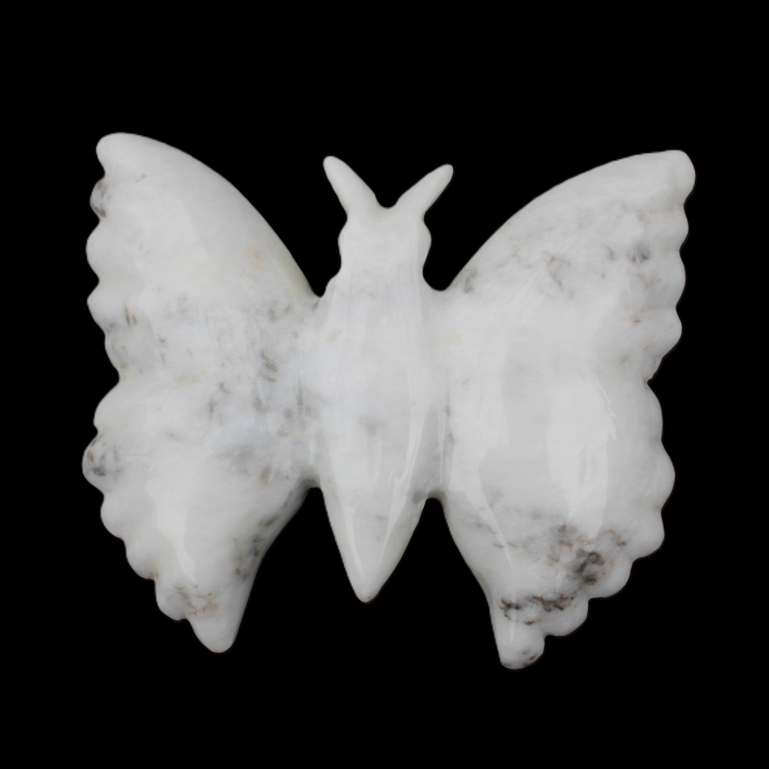 White Jade hand-carved dual platter Butterfly 203*27*185mm 981g in sunlight - Rocks and Things Store