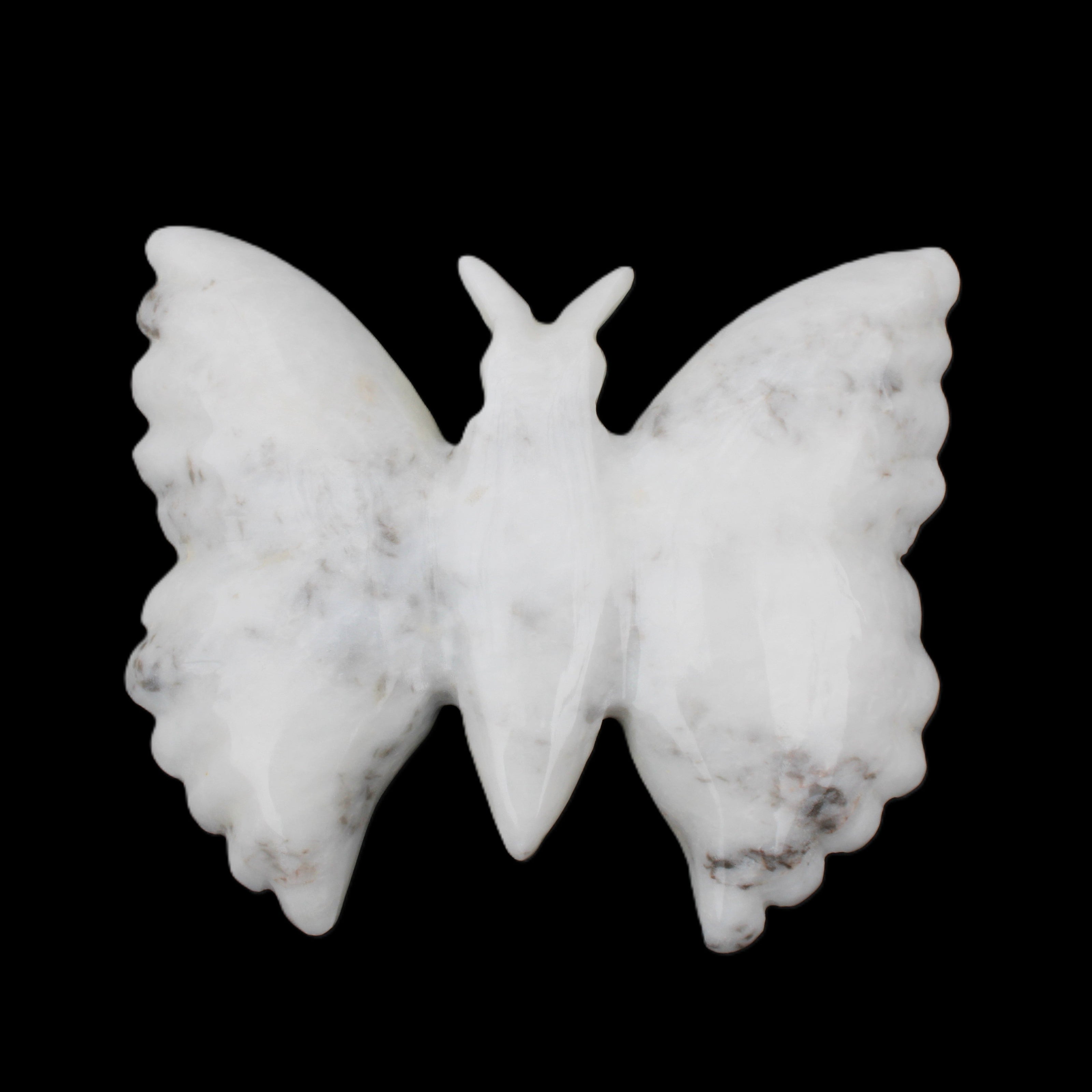 White Jade hand-carved dual platter Butterfly 203*27*185mm 981g in sunlight - Rocks and Things Store