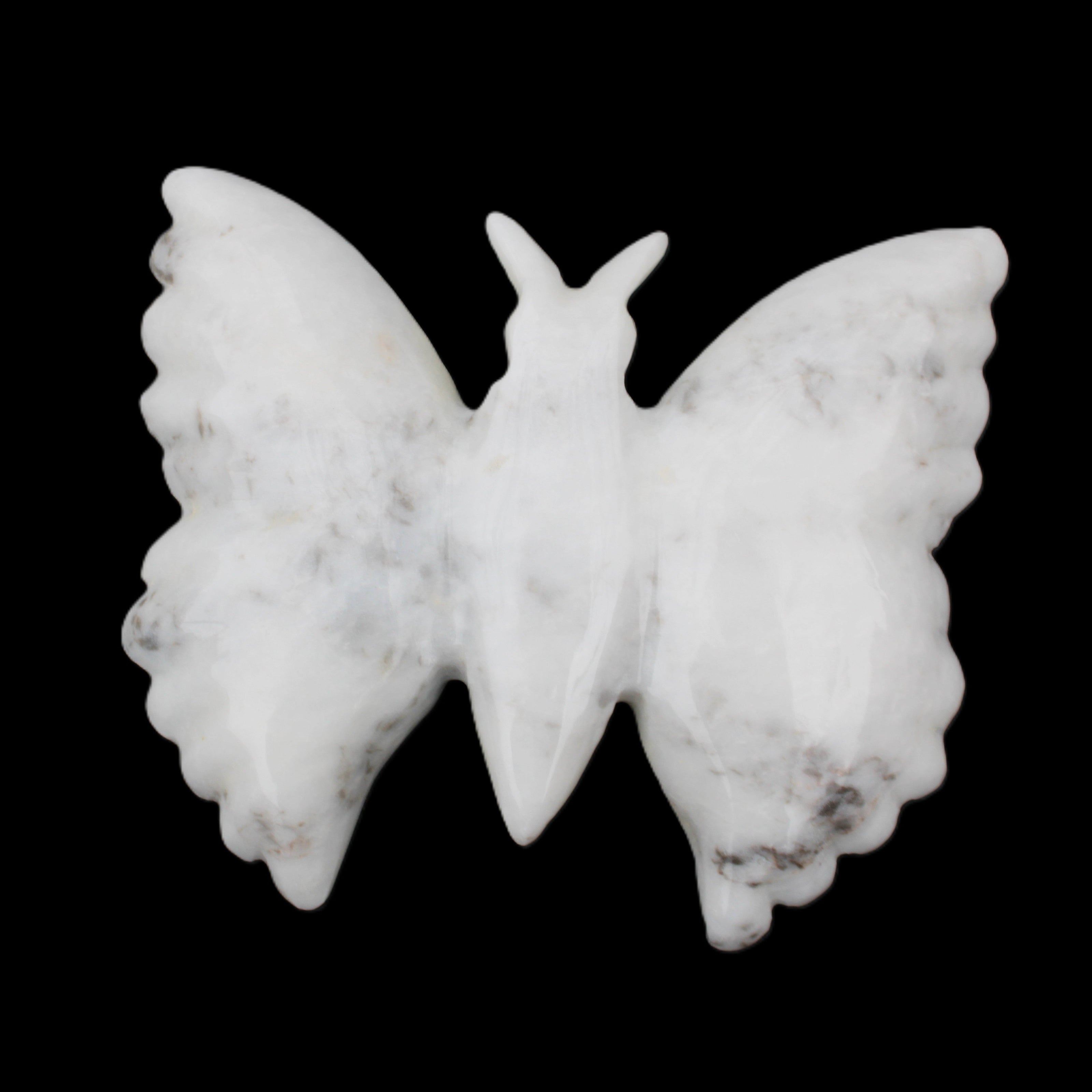 White Jade hand-carved dual platter Butterfly 203*27*185mm 981g in sunlight - Rocks and Things Store