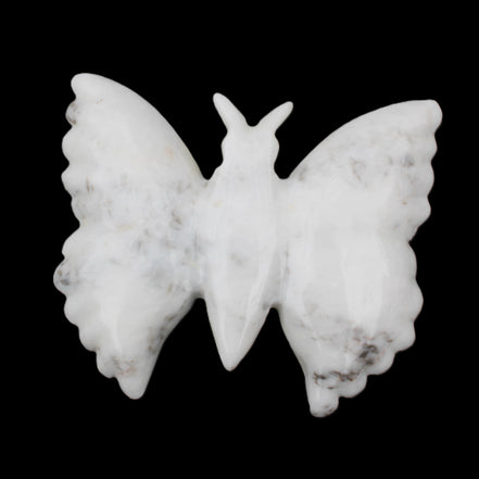 White Jade hand-carved dual platter Butterfly 203*27*185mm 981g in sunlight - Rocks and Things Store