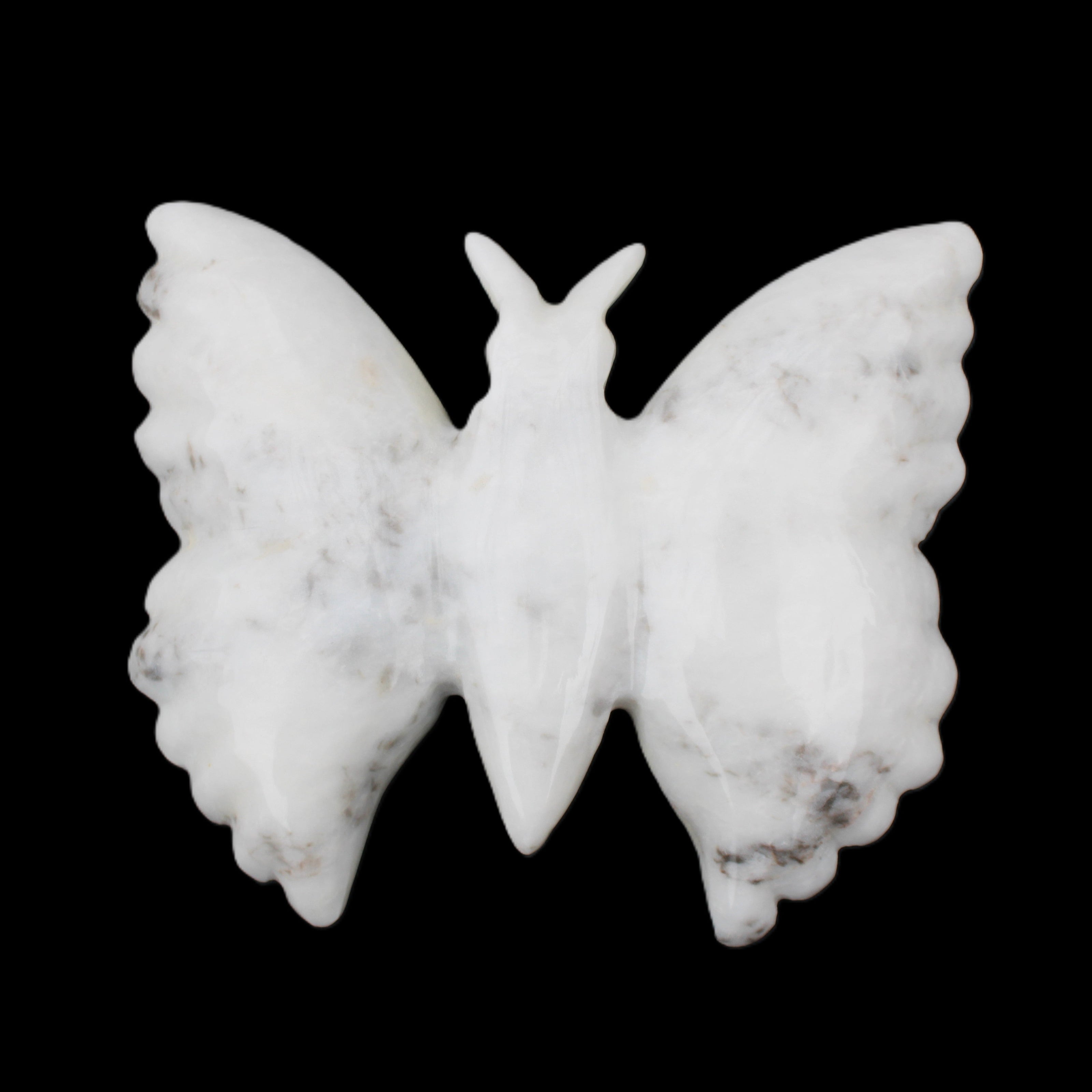 White Jade hand-carved dual platter Butterfly 203*27*185mm 981g in sunlight - Rocks and Things Store