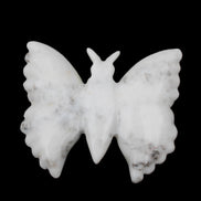 White Jade hand-carved dual platter Butterfly 203*27*185mm 981g in sunlight - Rocks and Things Store