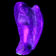 Lapis Lazuli Guardian Angel 30*16*45mm 31g in UV light - Rocks and Things Store