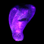 Lapis Lazuli Guardian Angel 30*16*45mm 31g in UV light - Rocks and Things Store