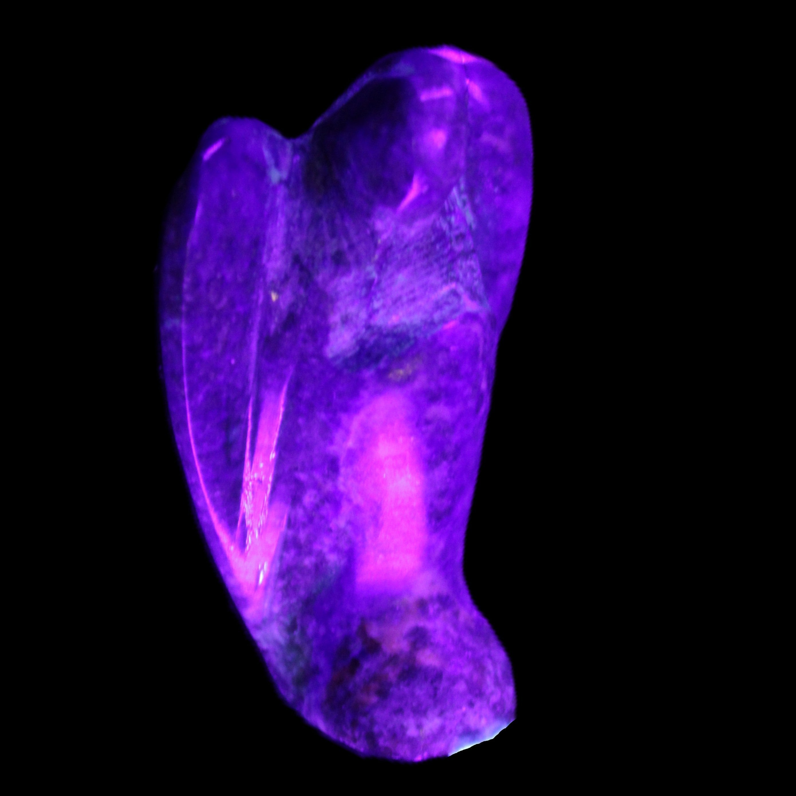 Lapis Lazuli Guardian Angel 30*16*45mm 31g in UV light - Rocks and Things Store
