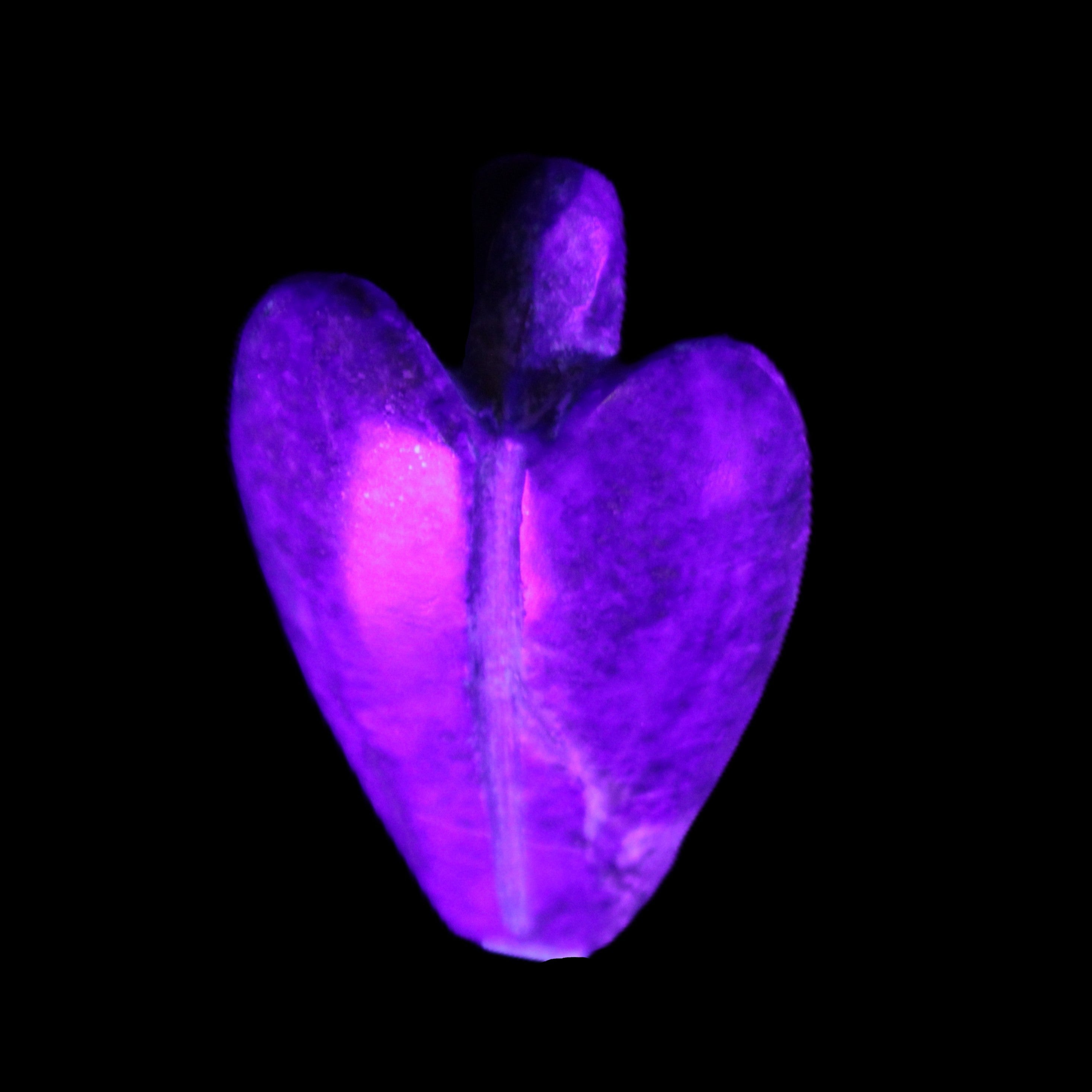 Lapis Lazuli Guardian Angel 30*16*45mm 31g in UV light - Rocks and Things Store
