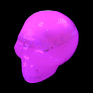 Mangano Calcite skull 38*55*48mm 167g in UV light - Rocks and Things Store