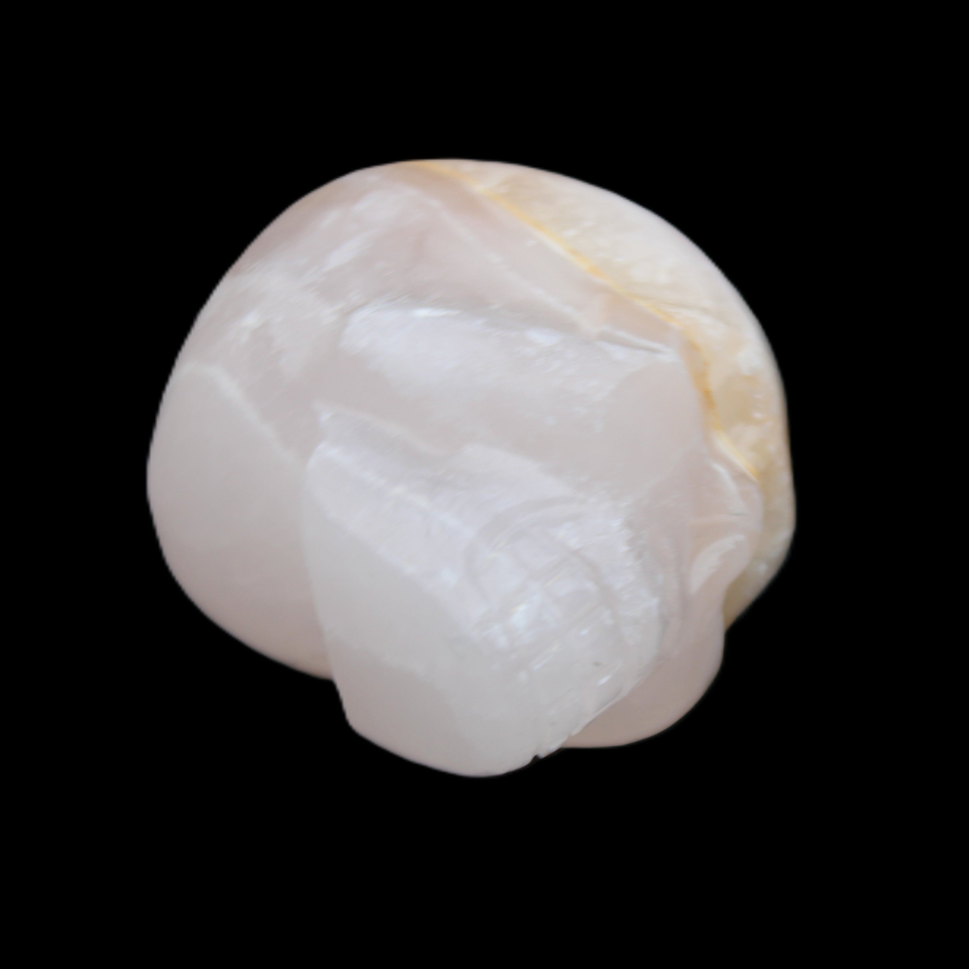 Mangano Calcite skull 38*55*48mm 167g in sunlight - Rocks and Things Store