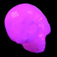Mangano Calcite skull 30*42*35mm 77g in UV light - Rocks and Things Store