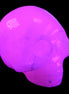 Mangano Calcite skull 30*42*35mm 77g in UV light - Rocks and Things Store