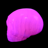 Mangano Calcite skull 30*47*36mm 85g in UV light - Rocks and Things Store