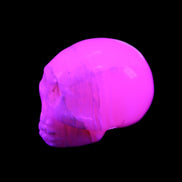 Mangano Calcite skull 31*46*36mm 83g in UV light - Rocks and Things Store