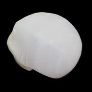 Mangano Calcite skull 31*46*36mm 83g in sunlight - Rocks and Things Store