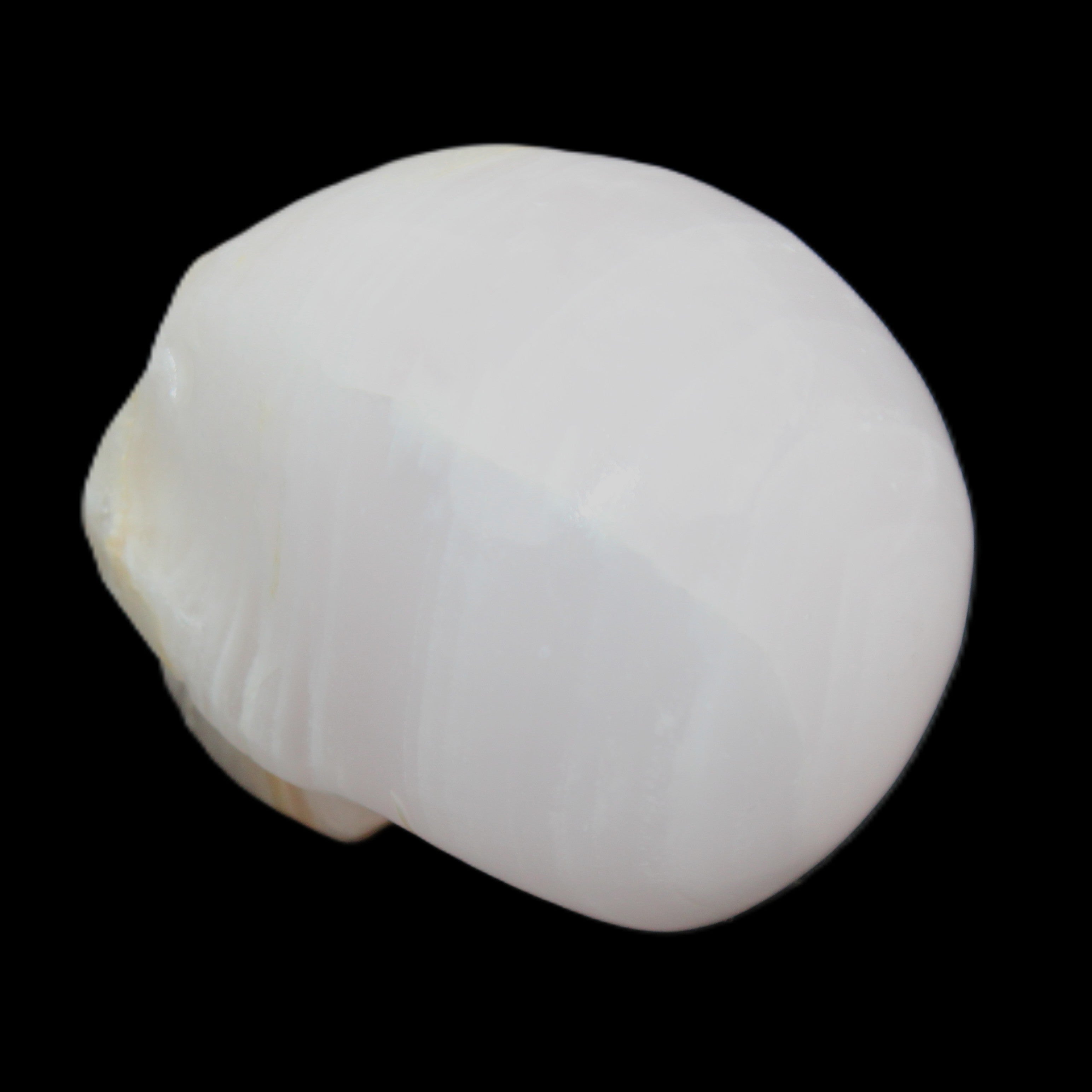 Mangano Calcite skull 31*46*36mm 83g in sunlight - Rocks and Things Store
