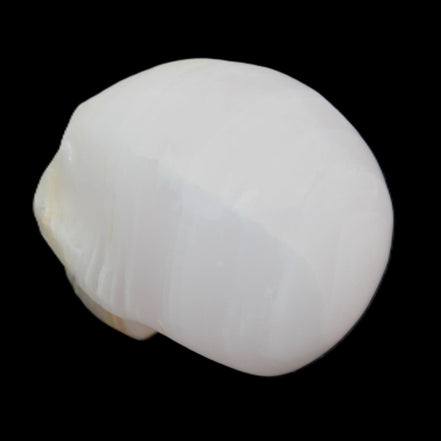 Mangano Calcite skull 31*46*36mm 83g in sunlight - Rocks and Things Store