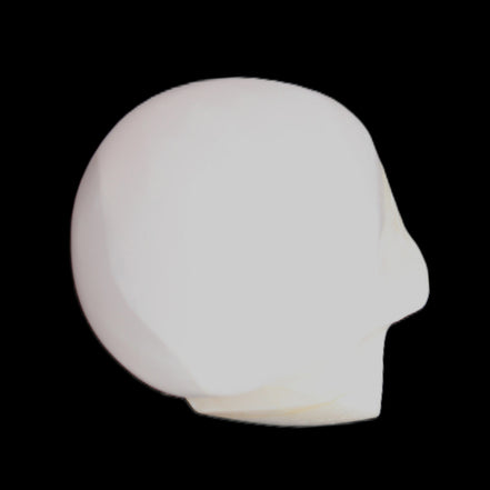 Mangano Calcite skull 31*46*36mm 83g in sunlight - Rocks and Things Store