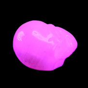 Mangano Calcite skull 30*45*38mm 78g in UV light - Rocks and Things Store