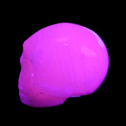Mangano Calcite skull 30*45*38mm 78g in UV light - Rocks and Things Store