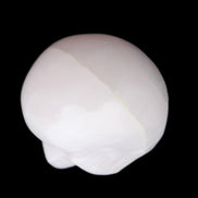 Mangano Calcite skull 30*42*35mm 83g in sunlight - Rocks and Things Store