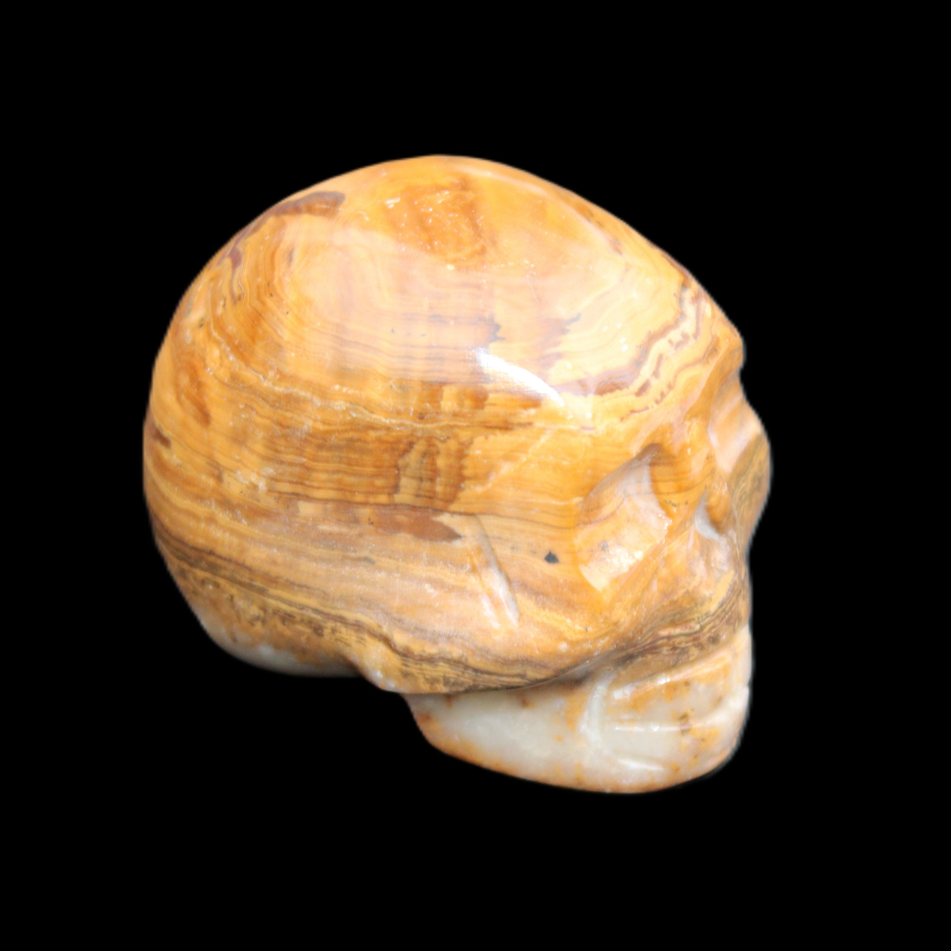 BumbleBee Banded Calcite skull 32*46*39mm 106g in sunlight - Rocks and Things Store