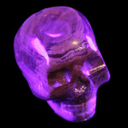 BumbleBee Banded Calcite skull 32*46*39mm 106g in UV light - Rocks and Things Store