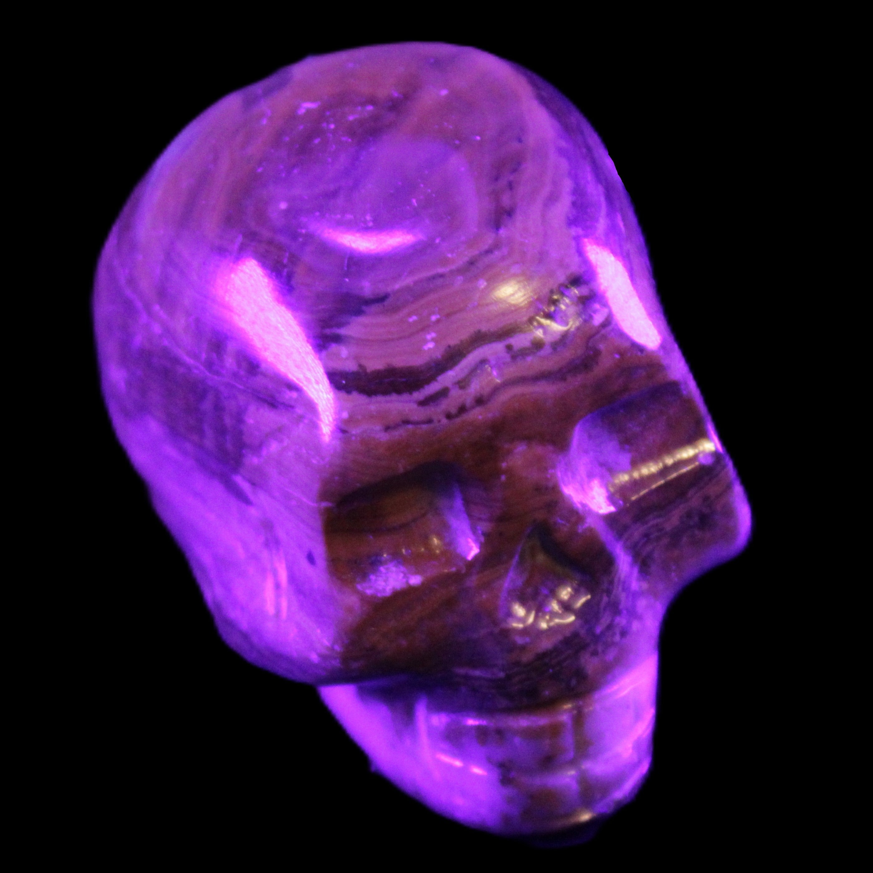 BumbleBee Banded Calcite skull 32*46*39mm 106g in UV light - Rocks and Things Store