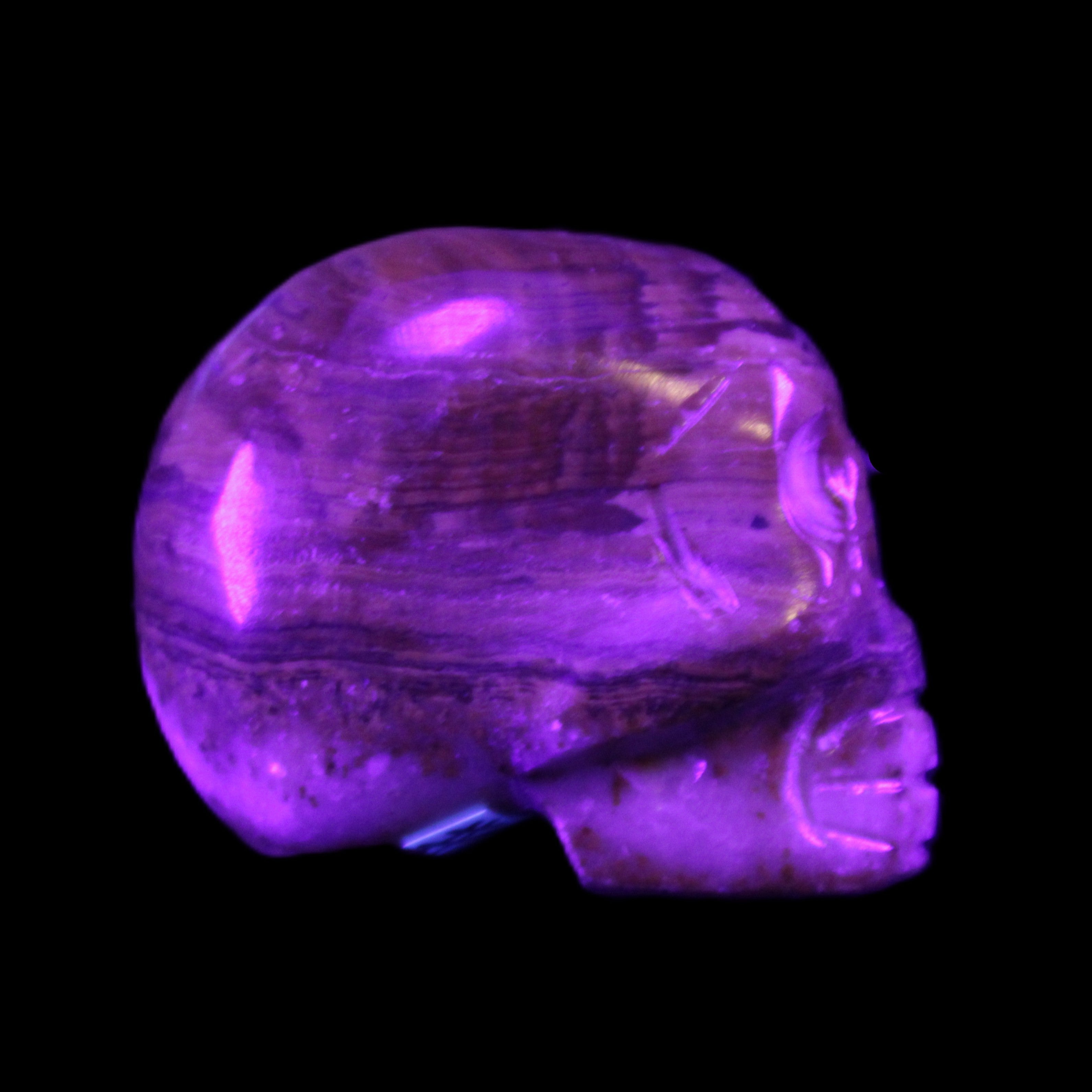 BumbleBee Banded Calcite skull 32*46*39mm 106g in UV light - Rocks and Things Store