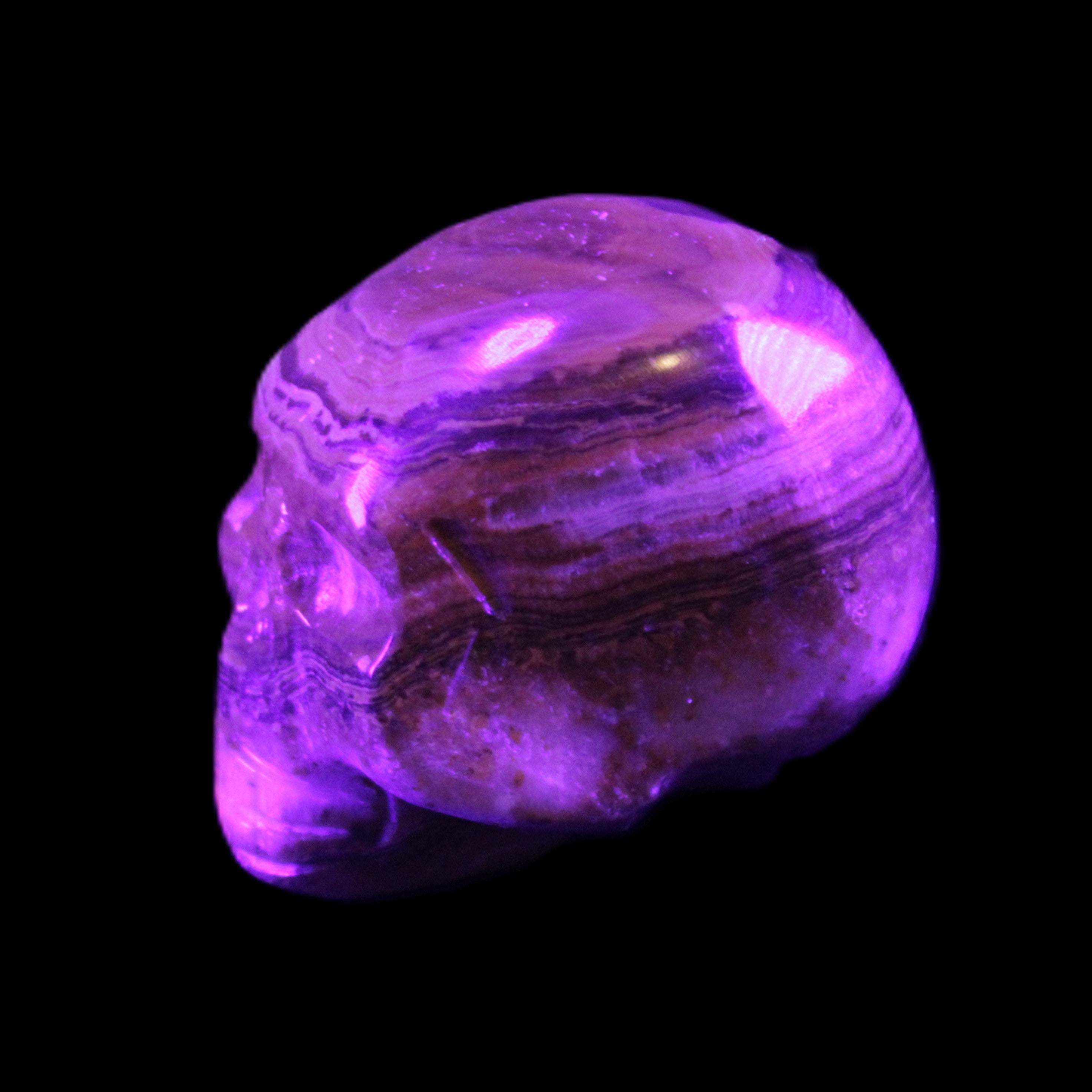 BumbleBee Banded Calcite skull 32*46*39mm 106g in UV light - Rocks and Things Store