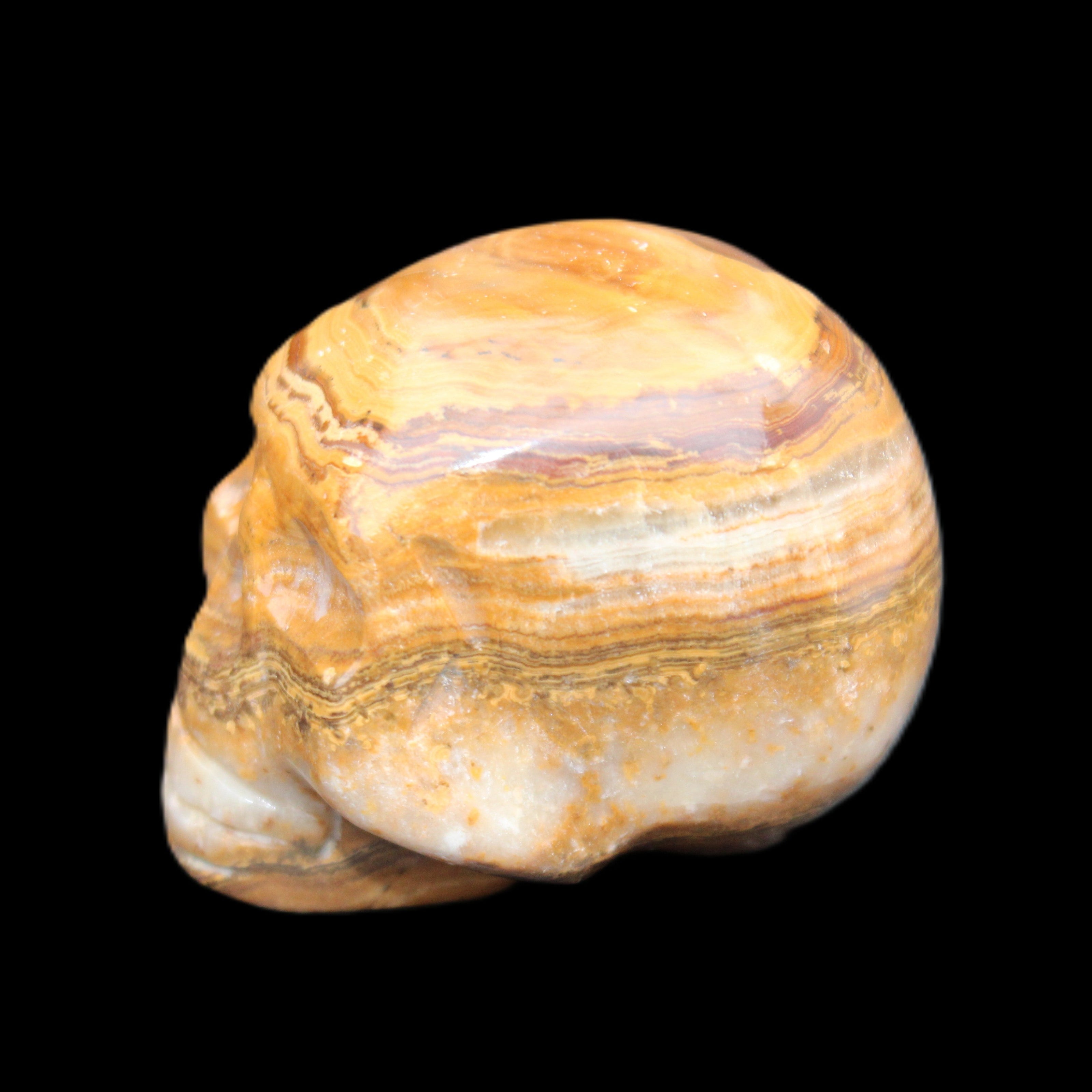 BumbleBee Banded Calcite skull 32*46*39mm 106g in sunlight - Rocks and Things Store