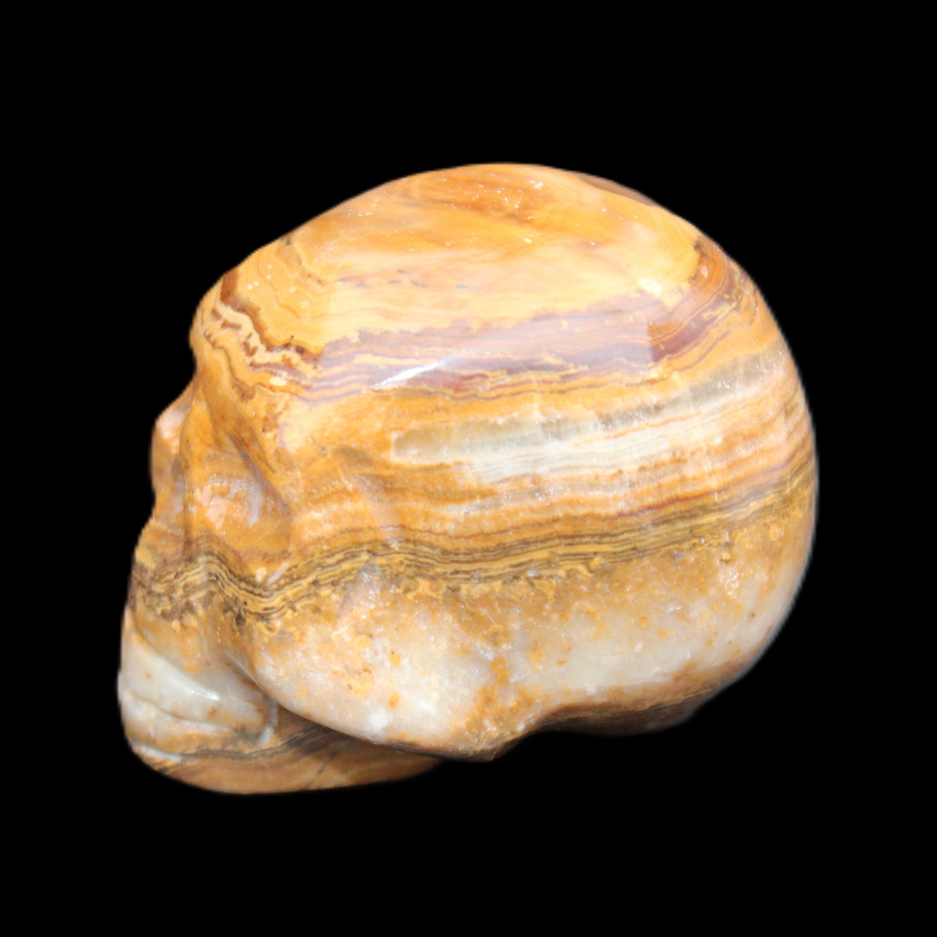 BumbleBee Banded Calcite skull 32*46*39mm 106g in sunlight - Rocks and Things Store
