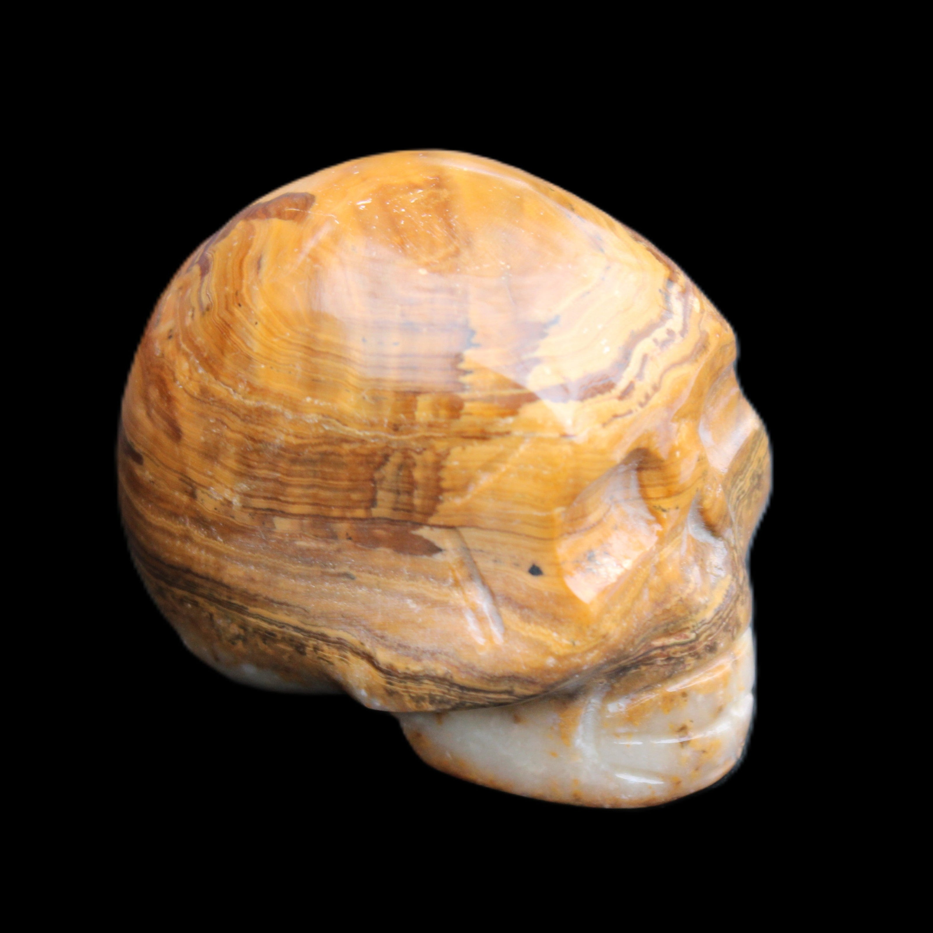 BumbleBee Banded Calcite skull 32*46*39mm 106g in sunlight - Rocks and Things Store