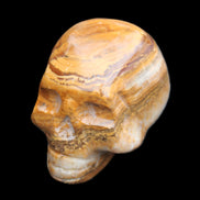BumbleBee Banded Calcite skull 32*46*39mm 106g in sunlight - Rocks and Things Store