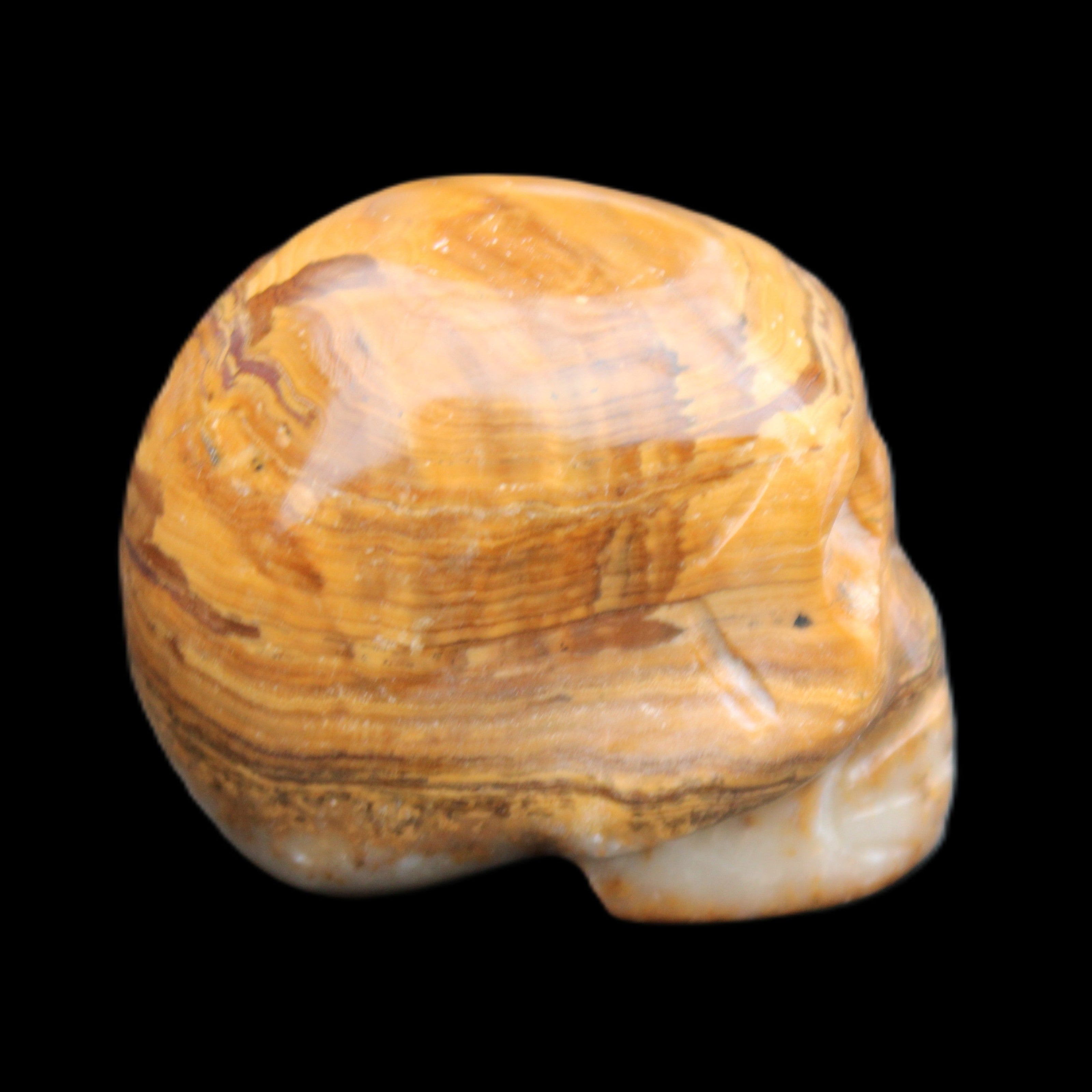 BumbleBee Banded Calcite skull 32*46*39mm 106g in sunlight - Rocks and Things Store