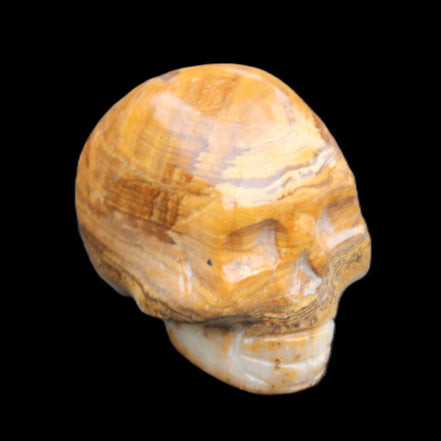 BumbleBee Banded Calcite skull 32*46*39mm 106g in sunlight - Rocks and Things Store