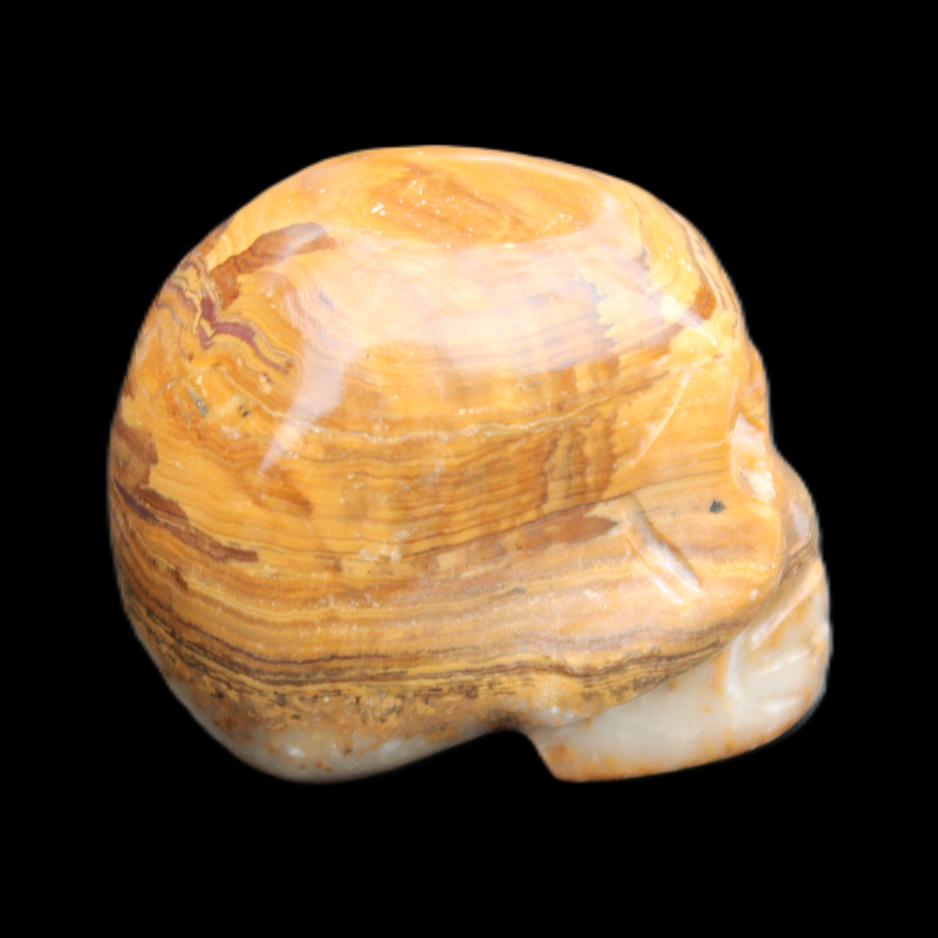 BumbleBee Banded Calcite skull 32*46*39mm 106g in sunlight - Rocks and Things Store