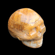 BumbleBee Banded Calcite skull 32*46*39mm 106g in sunlight - Rocks and Things Store