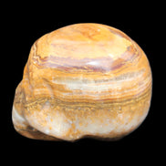 BumbleBee Banded Calcite skull 32*46*39mm 106g in sunlight - Rocks and Things Store