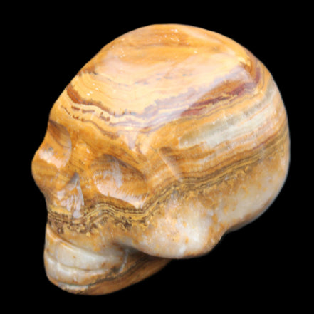 BumbleBee Banded Calcite skull 32*46*39mm 106g in sunlight - Rocks and Things Store