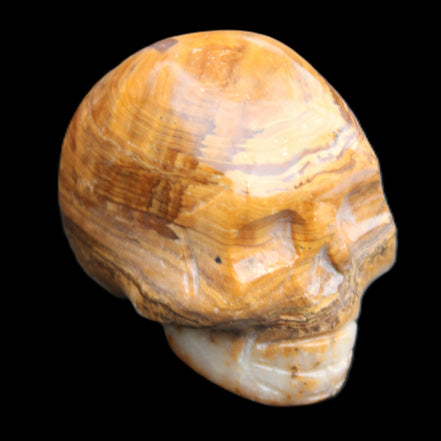 BumbleBee Banded Calcite skull 32*46*39mm 106g in sunlight - Rocks and Things Store