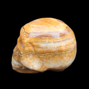 BumbleBee Banded Calcite skull 32*46*39mm 106g in sunlight - Rocks and Things Store