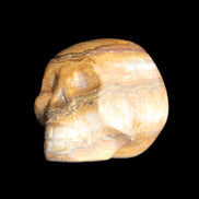 BumbleBee Banded Calcite skull 32*46*39mm 106g in sunlight - Rocks and Things Store