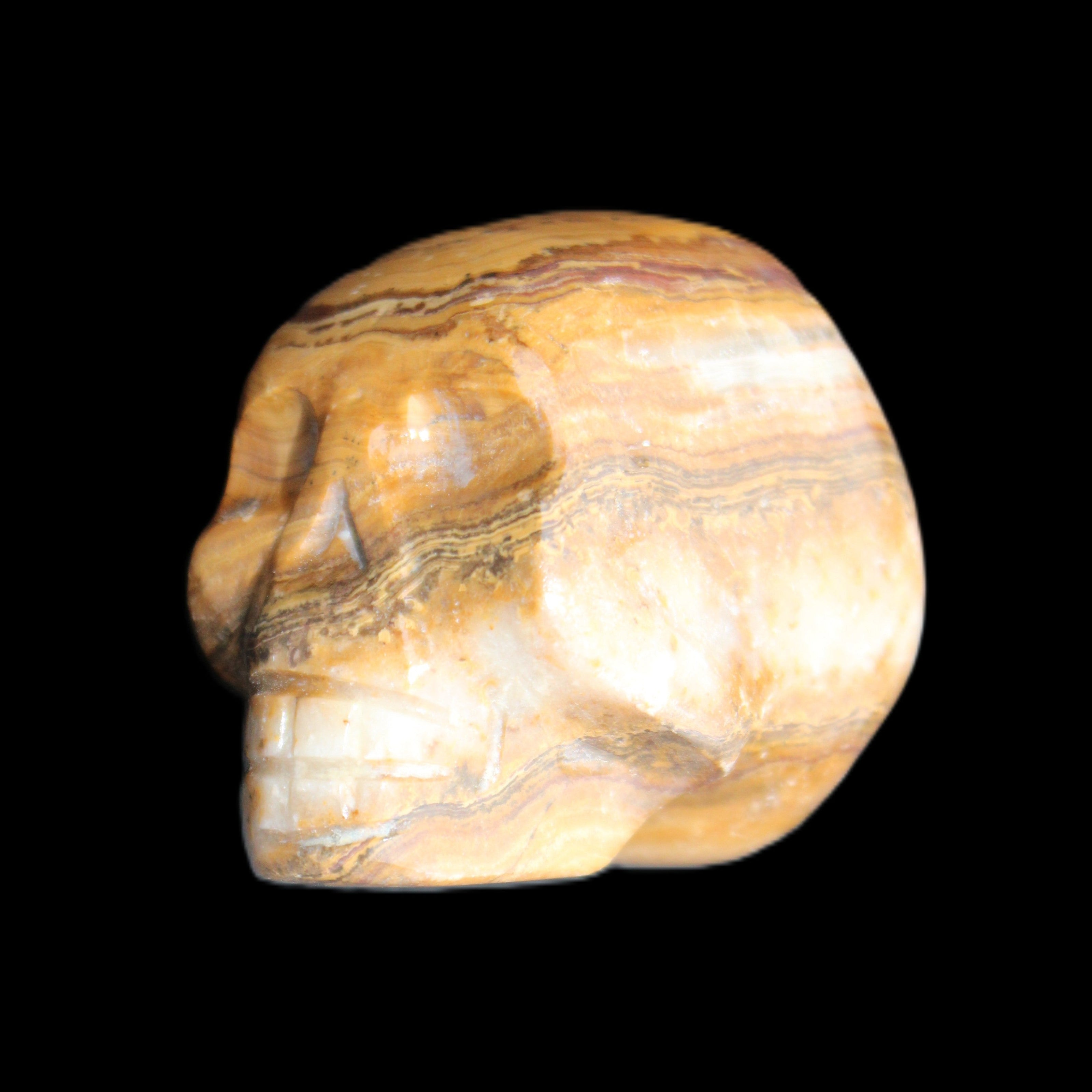 BumbleBee Banded Calcite skull 32*46*39mm 106g in sunlight - Rocks and Things Store
