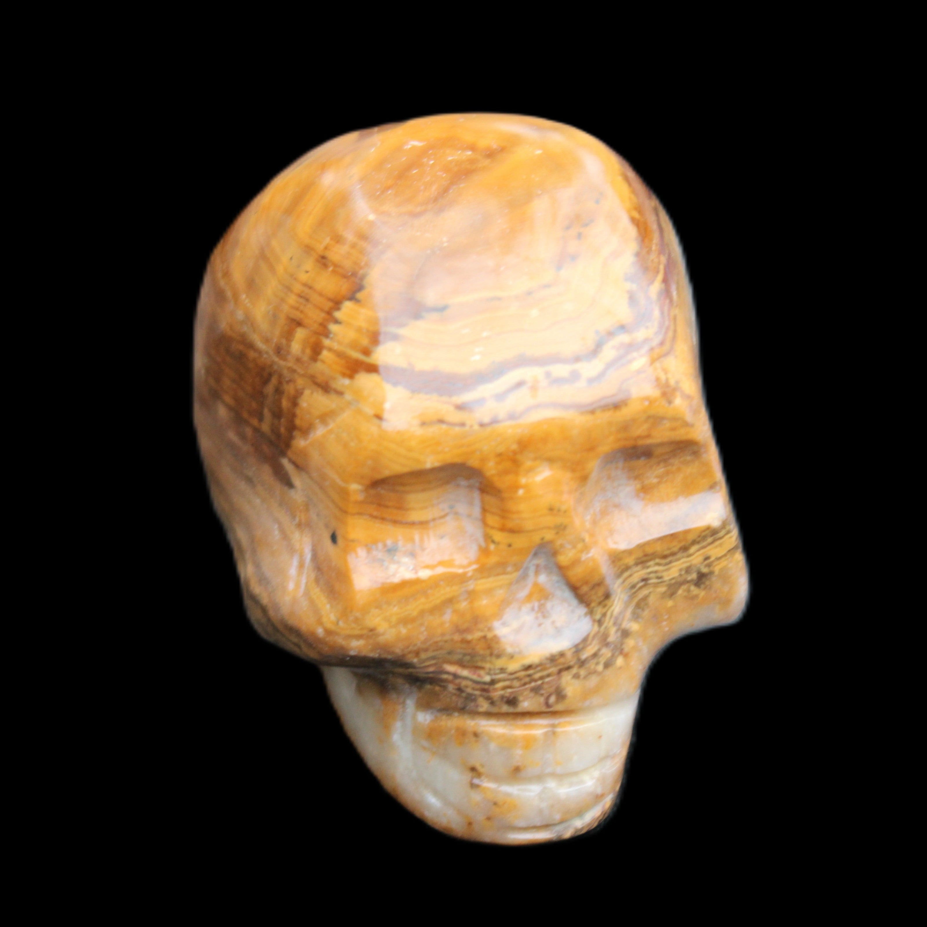 BumbleBee Banded Calcite skull 32*46*39mm 106g in sunlight - Rocks and Things Store