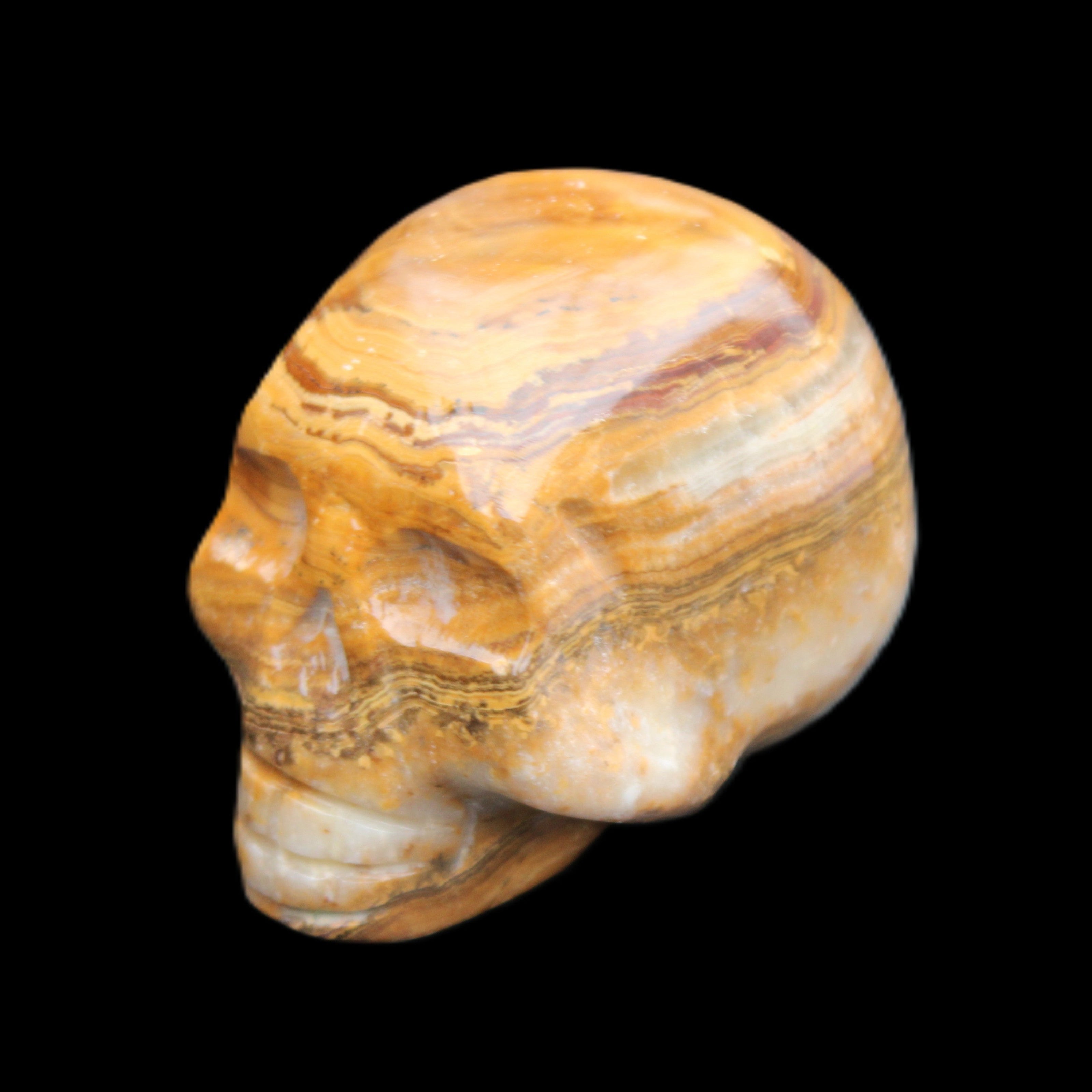 BumbleBee Banded Calcite skull 32*46*39mm 106g in sunlight - Rocks and Things Store