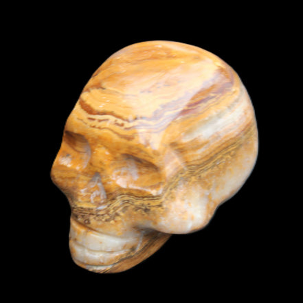 BumbleBee Banded Calcite skull 32*46*39mm 106g in sunlight - Rocks and Things Store